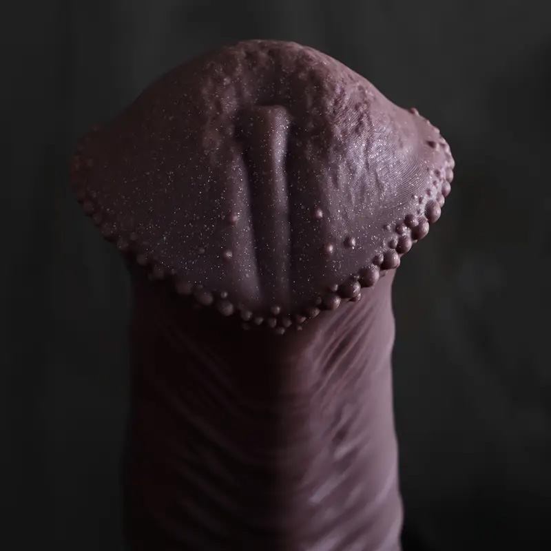 Riesiger Pferdedildo Analplug  – Lunge Line Horse Bewertung und Preis